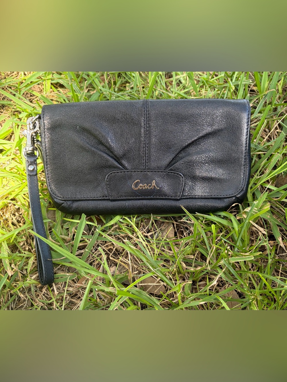 Coach Ashley
Pleated Leather Wristlet